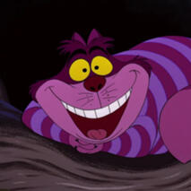 Cheshire Cat